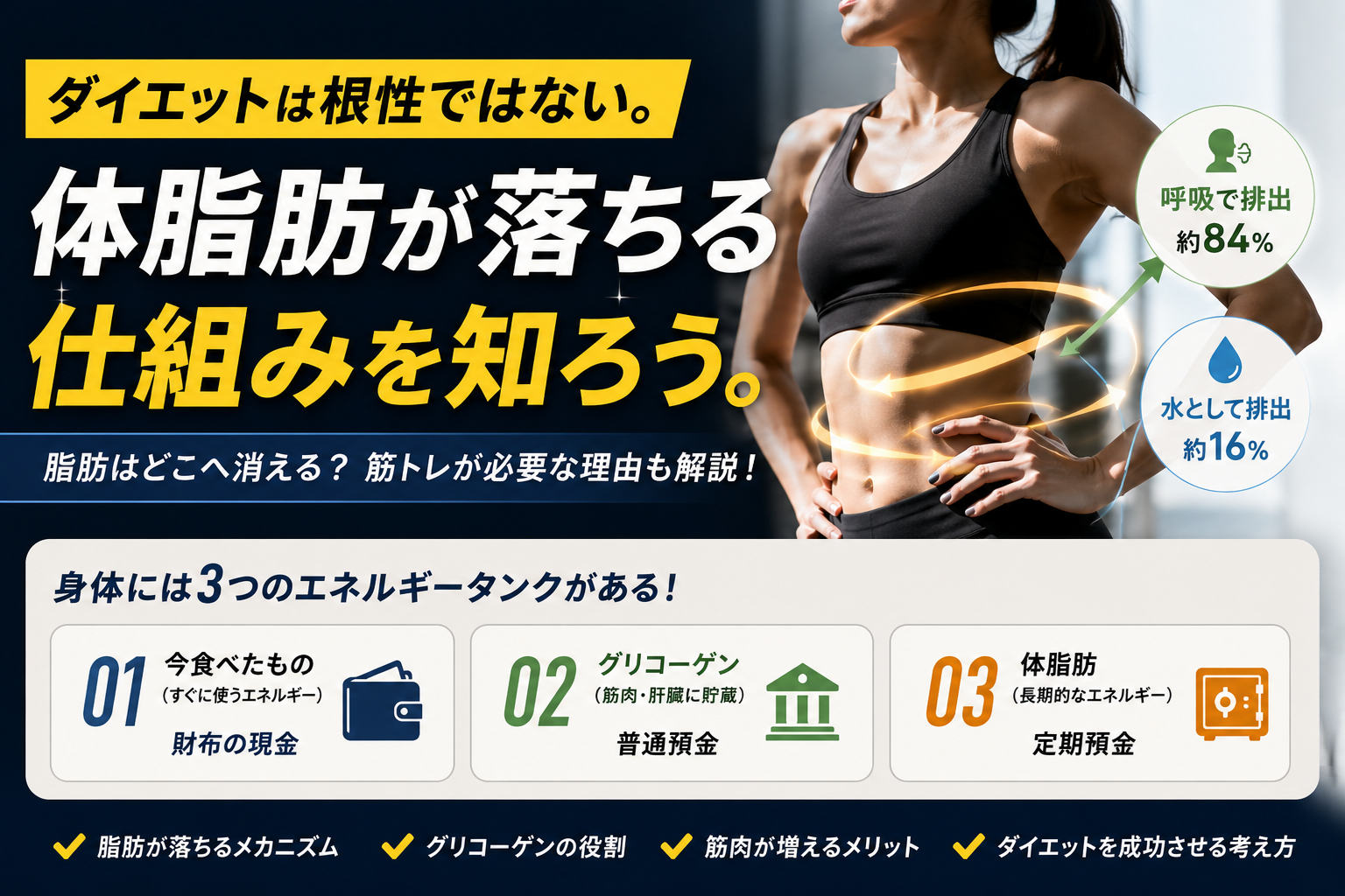 ダイエットは根性ではない。 体脂肪が落ちる仕組みを知ろう